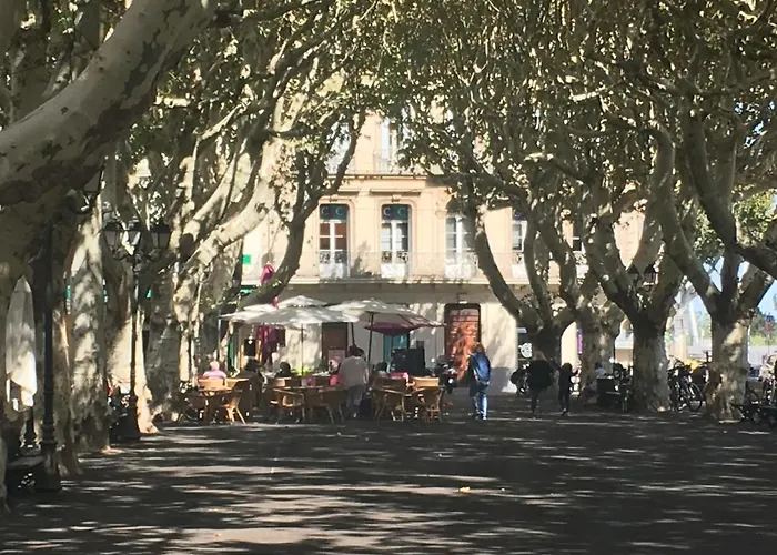 - Coeur De Appartement Sérignan